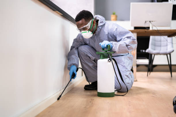 Emergency Pest Control in Antelope, CA